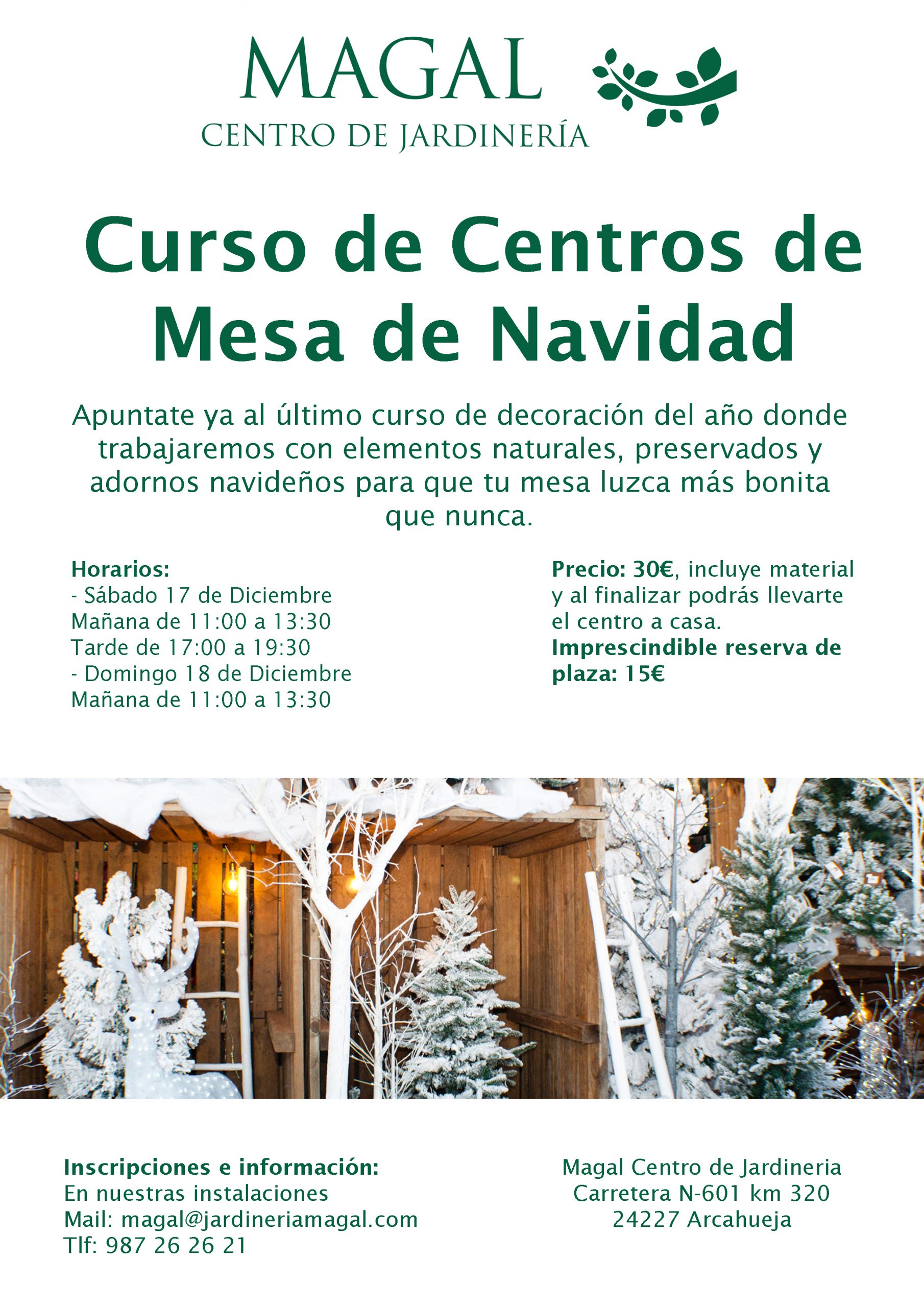 curso-centro-de-mesa-navidad-en-leon-jardineria-magal | Jardinería Magal